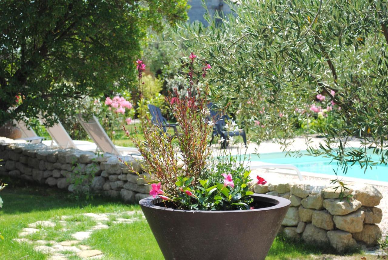 Terre De Bacchus Bed and Breakfast Vacqueyras Exteriör bild