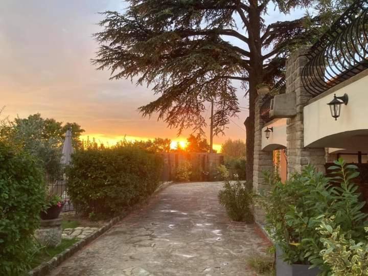 Terre De Bacchus Bed and Breakfast Vacqueyras Exteriör bild